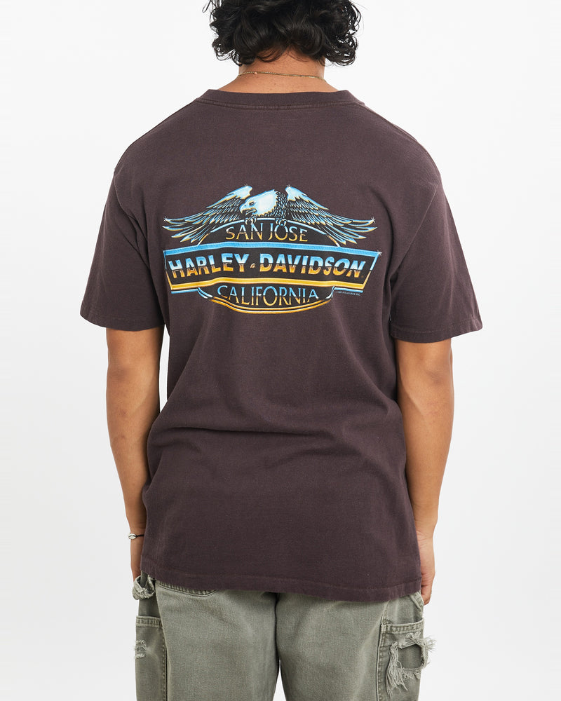 Vintage 1995 Harley Davidson Tee <br>L , The Real Deal , newtown, sydney, australia, thrift store, opshop, preloved, secondhand, sustainable, retro, antique, 70s, 80s, 90s, 2000s, 00s, fashion, clothing, streetwear, trendy, garment, style, boutique, store, shop, archive, sale, cheap, best, top