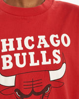 Vintage NBA Chicago Bulls Tee <br>M