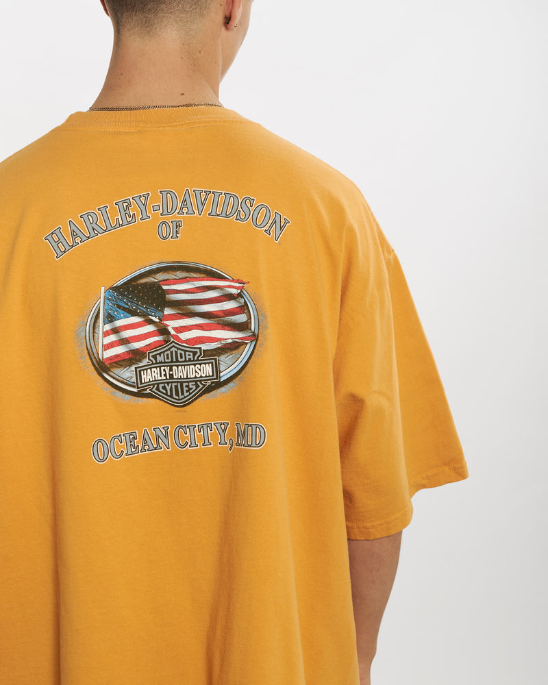 Vintage Harley Davidson Tee <br>XL