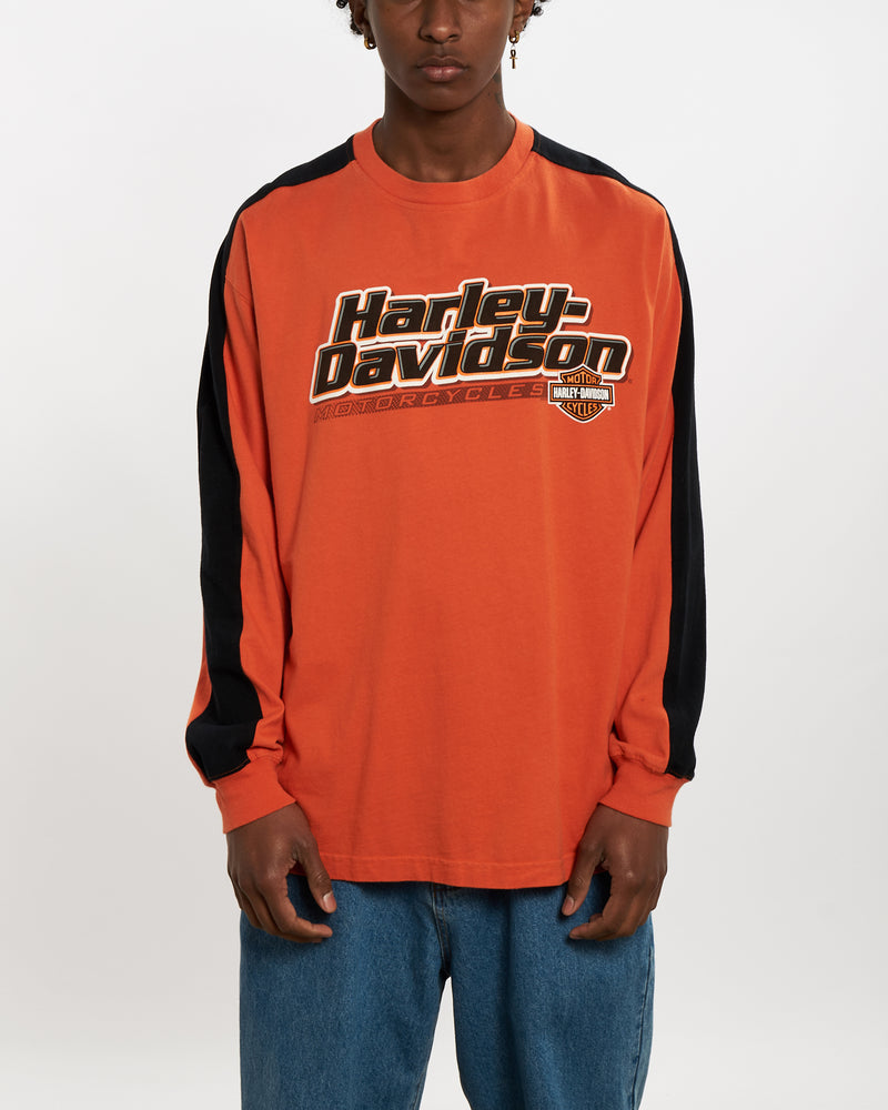 Vintage Harley Davidson Long Sleeve Tee <br>L