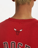 Vintage NBA Chicago Bulls Tee <br>L