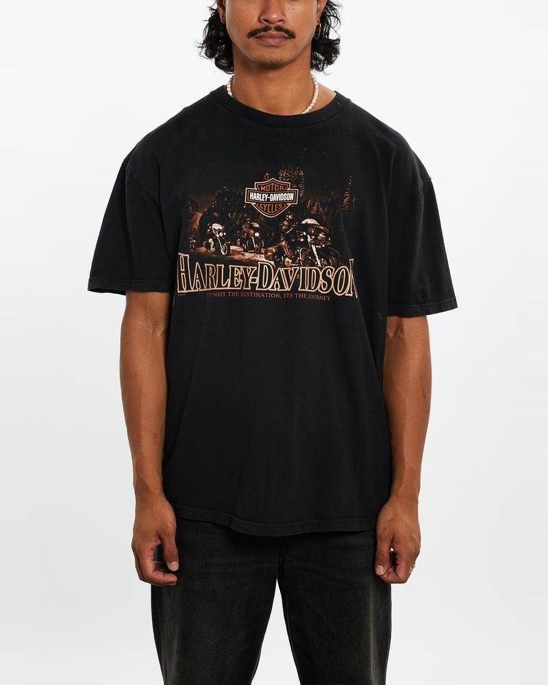 Vintage Harley Davidson Tee <br>L