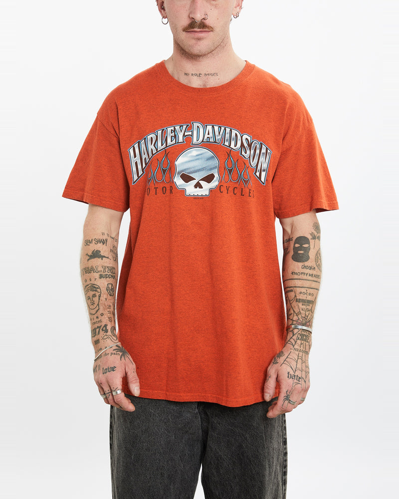 Vintage Harley Davidson Tee <br>L